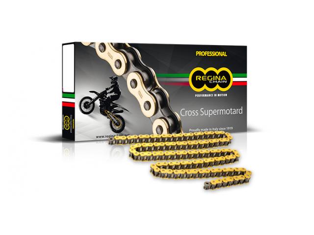 Catena Regina 520 RX3 120 Maglie